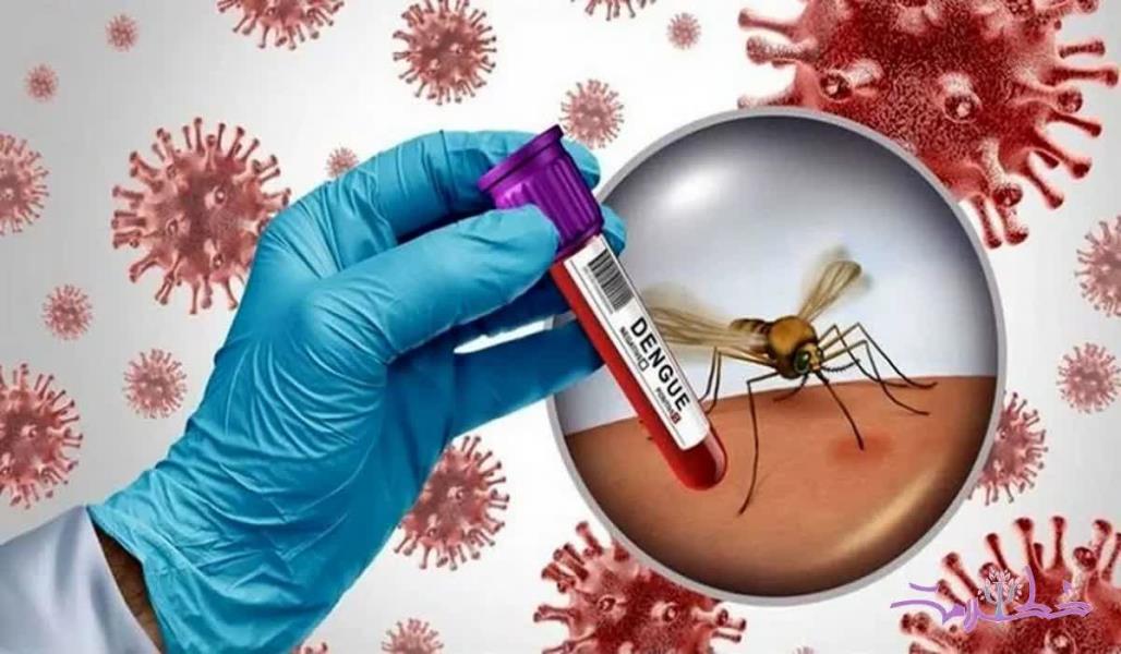 🔻همه چیز در مورد تب دنگی: از شناسایی پشه تا پیشگیری و درمان