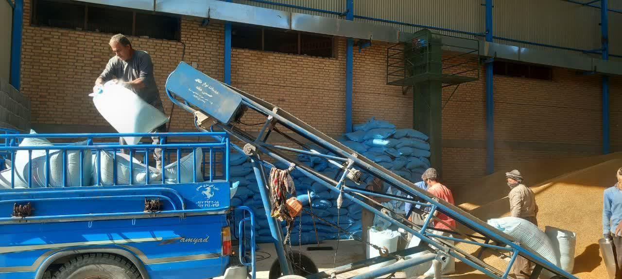 عشایر فارس چشم انتظار تامین 180 تن کمبود آرد ماهیانه خود هستند